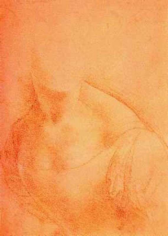 estudio de un busto de mujer hacia 1501.jpg